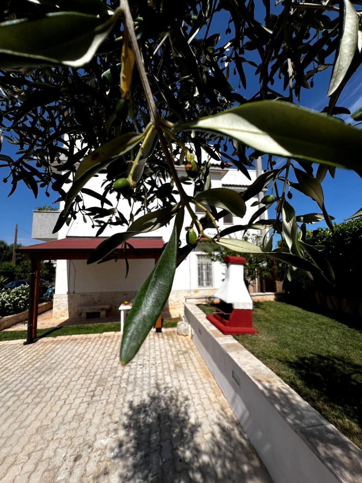 Casa Tesoro Villa Cisternino Exterior photo